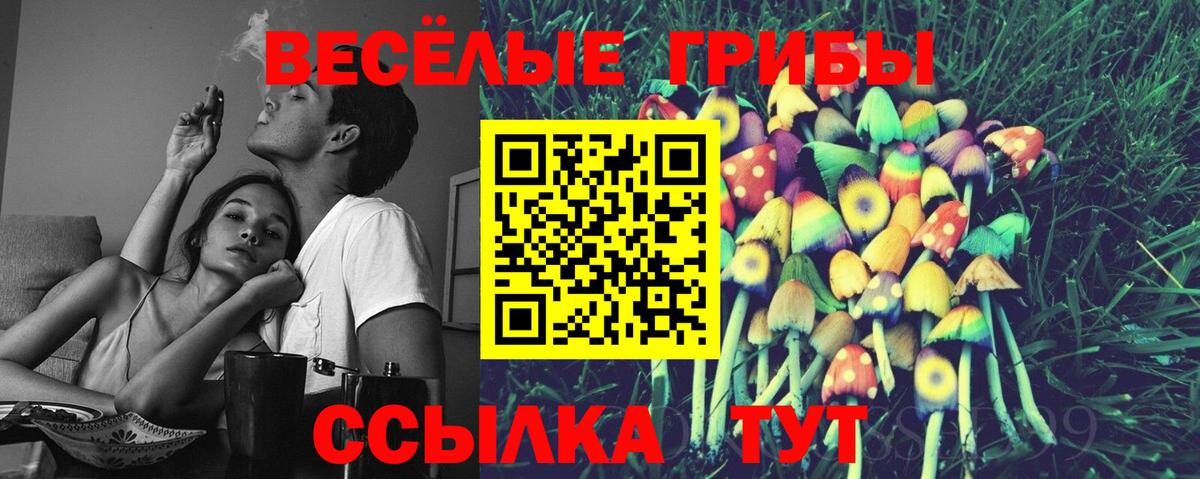 Псилоцибиновые грибы Psilocybe  Вход с VPN  Конаково 